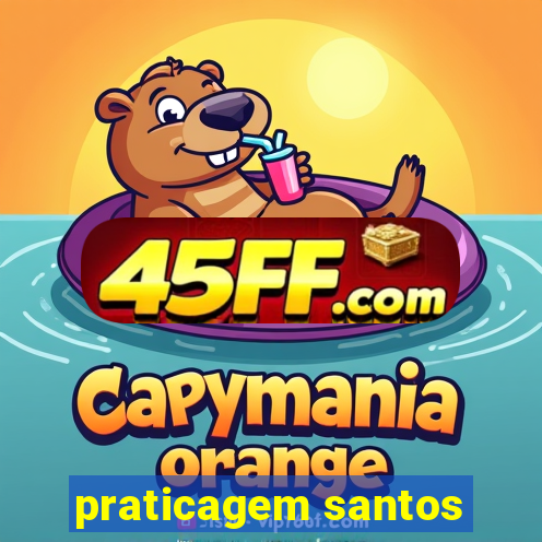 praticagem santos